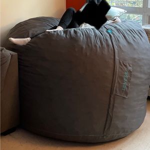 LoveSac Big One Insert: https://www.lovesac.com/bigone-insert.html